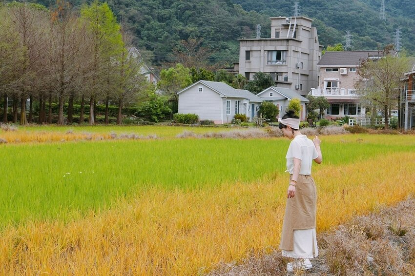 祕境般的吉安鄉間小路：綠色隧道、蓮城請喝蓮花茶、農場草原、落羽松私房景點