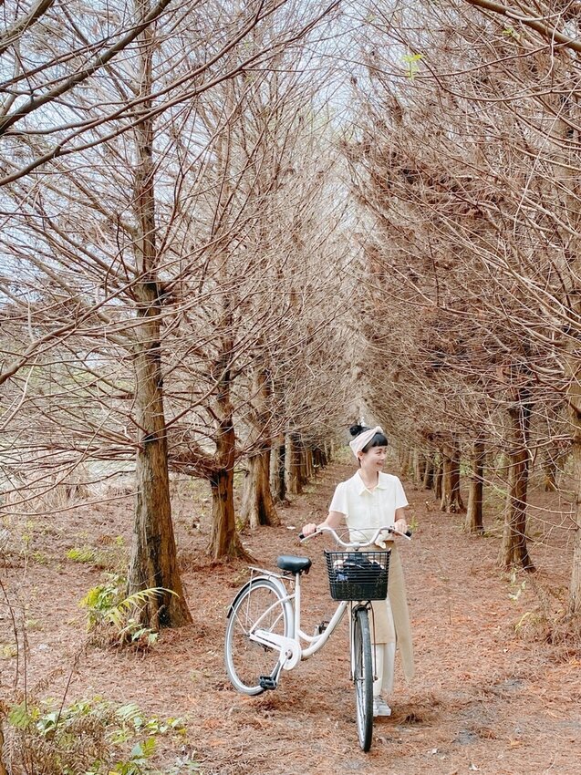 祕境般的吉安鄉間小路：綠色隧道、蓮城請喝蓮花茶、農場草原、落羽松私房景點