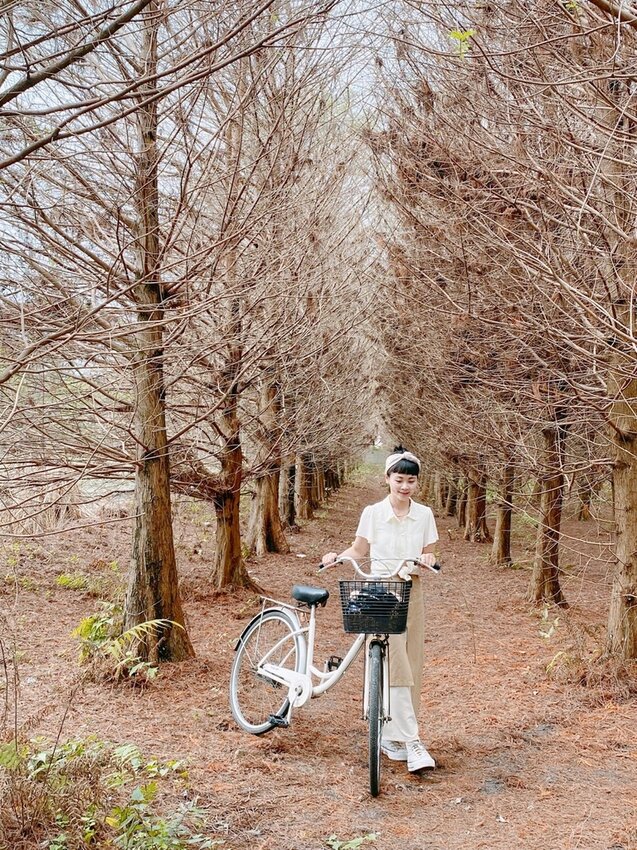 祕境般的吉安鄉間小路：綠色隧道、蓮城請喝蓮花茶、農場草原、落羽松私房景點
