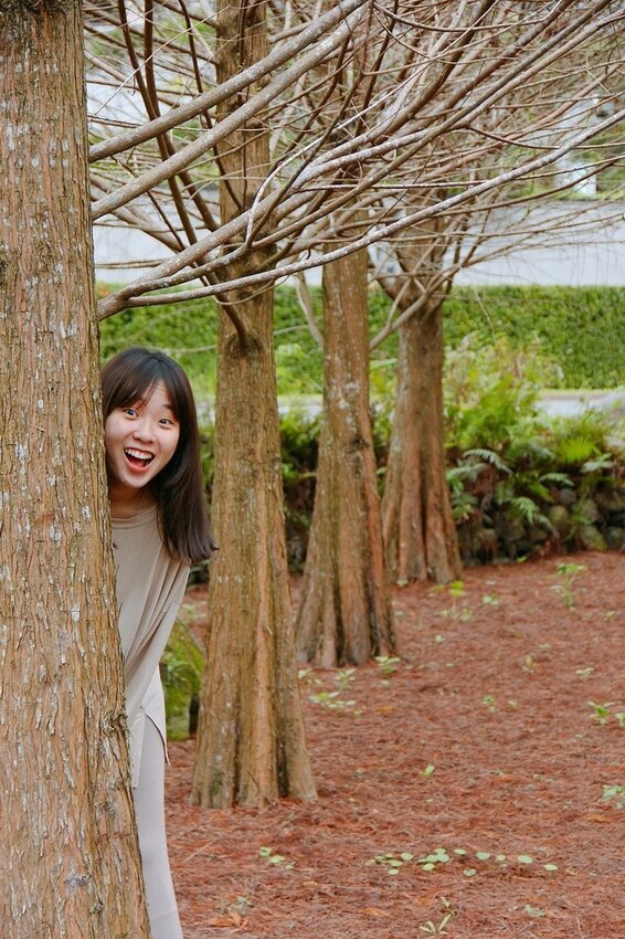 祕境般的吉安鄉間小路：綠色隧道、蓮城請喝蓮花茶、農場草原、落羽松私房景點