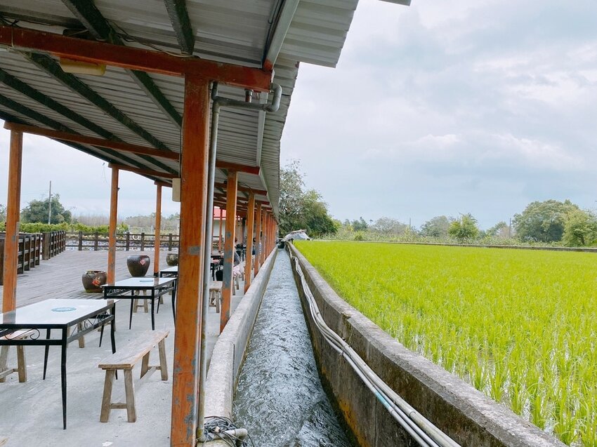 祕境般的吉安鄉間小路：綠色隧道、蓮城請喝蓮花茶、農場草原、落羽松私房景點