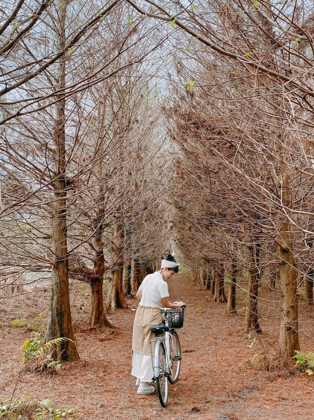 祕境般的吉安鄉間小路：綠色隧道、蓮城請喝蓮花茶、農場草原、落羽松私房景點