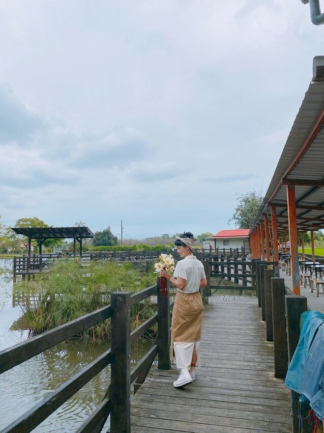 祕境般的吉安鄉間小路：綠色隧道、蓮城請喝蓮花茶、農場草原、落羽松私房景點