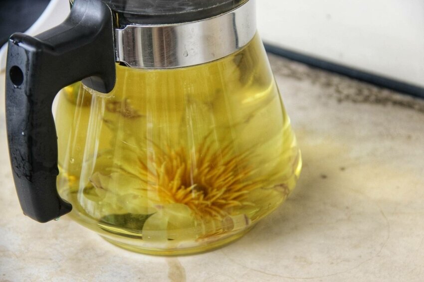 祕境般的吉安鄉間小路：綠色隧道、蓮城請喝蓮花茶、農場草原、落羽松私房景點