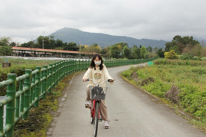 祕境般的吉安鄉間小路：綠色隧道、蓮城請喝蓮花茶、農場草原、落羽松私房景點