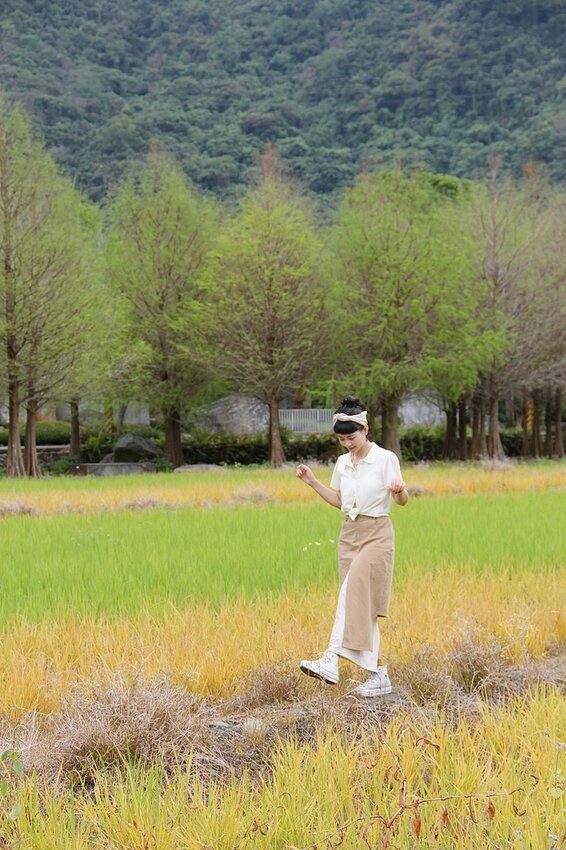 祕境般的吉安鄉間小路：綠色隧道、蓮城請喝蓮花茶、農場草原、落羽松私房景點