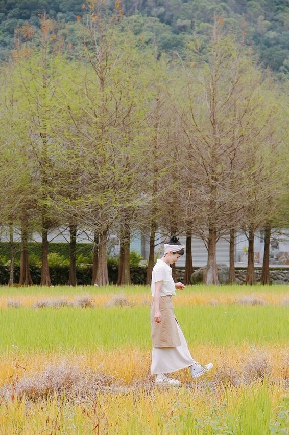祕境般的吉安鄉間小路：綠色隧道、蓮城請喝蓮花茶、農場草原、落羽松私房景點