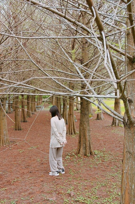 祕境般的吉安鄉間小路：綠色隧道、蓮城請喝蓮花茶、農場草原、落羽松私房景點