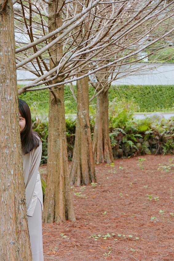 祕境般的吉安鄉間小路：綠色隧道、蓮城請喝蓮花茶、農場草原、落羽松私房景點