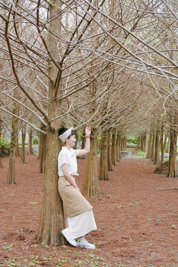 祕境般的吉安鄉間小路：綠色隧道、蓮城請喝蓮花茶、農場草原、落羽松私房景點