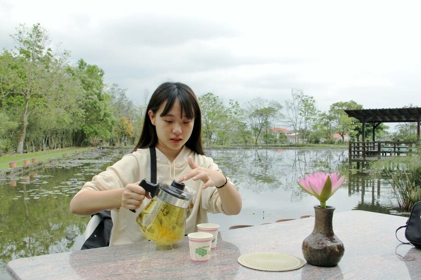 祕境般的吉安鄉間小路：綠色隧道、蓮城請喝蓮花茶、農場草原、落羽松私房景點