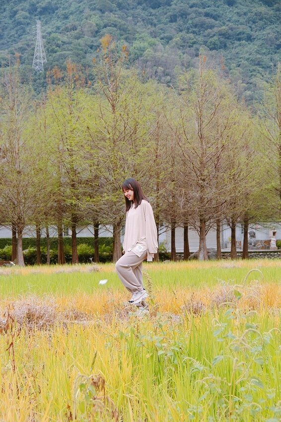 祕境般的吉安鄉間小路：綠色隧道、蓮城請喝蓮花茶、農場草原、落羽松私房景點