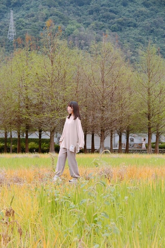 祕境般的吉安鄉間小路：綠色隧道、蓮城請喝蓮花茶、農場草原、落羽松私房景點