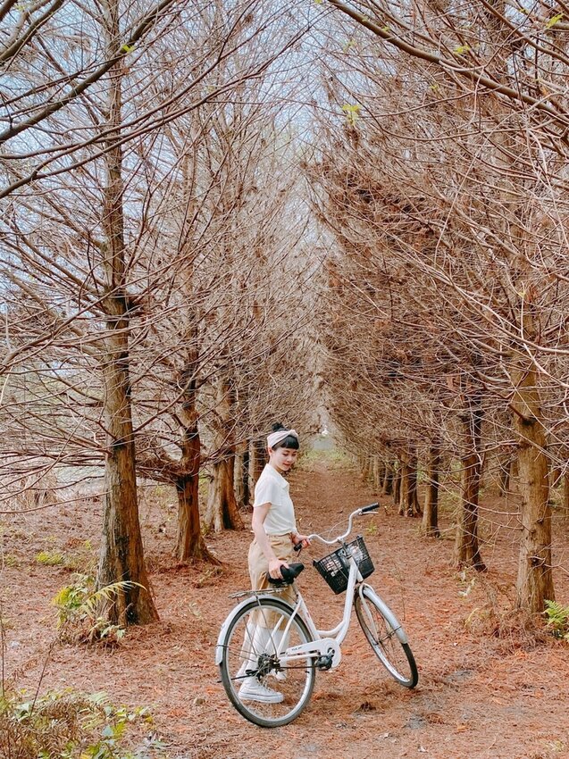祕境般的吉安鄉間小路：綠色隧道、蓮城請喝蓮花茶、農場草原、落羽松私房景點