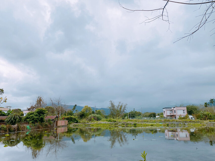 祕境般的吉安鄉間小路：綠色隧道、蓮城請喝蓮花茶、農場草原、落羽松私房景點