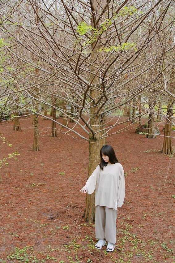祕境般的吉安鄉間小路：綠色隧道、蓮城請喝蓮花茶、農場草原、落羽松私房景點