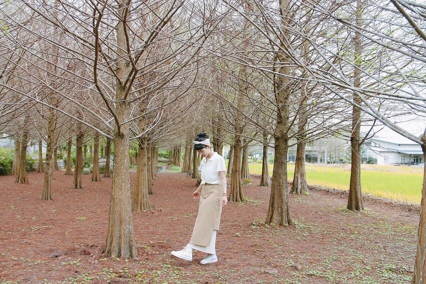 祕境般的吉安鄉間小路：綠色隧道、蓮城請喝蓮花茶、農場草原、落羽松私房景點