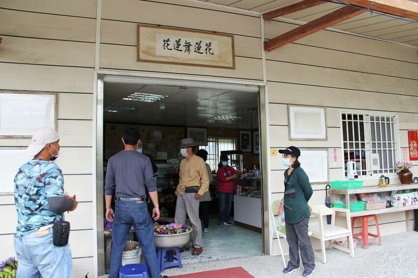 祕境般的吉安鄉間小路：綠色隧道、蓮城請喝蓮花茶、農場草原、落羽松私房景點