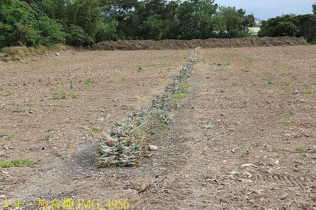 IMG_4956.jpg - 台東鹿野龍田阿度的店 20220312