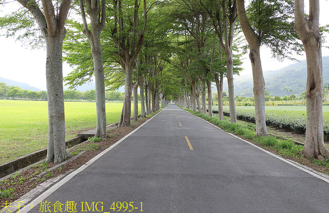 IMG_4995-1.jpg - 台東鹿野龍田阿度的店 20220312