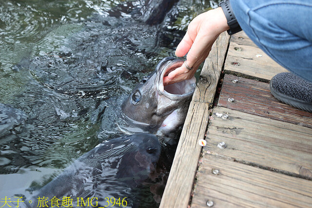 IMG_3946.jpg - 花蓮立川漁場 20220411
