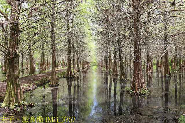 IMG_3767.jpg - 花蓮雲山水植物農場 20220411