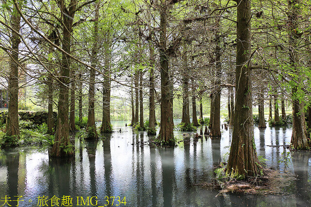 IMG_3734.jpg - 花蓮雲山水植物農場 20220411