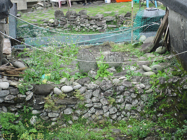 IMG_7099.jpg - 蘭嶼 野銀地下屋 20220327