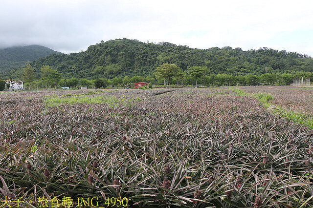 IMG_4950.jpg - 台東鹿野龍田阿度的店 20220312