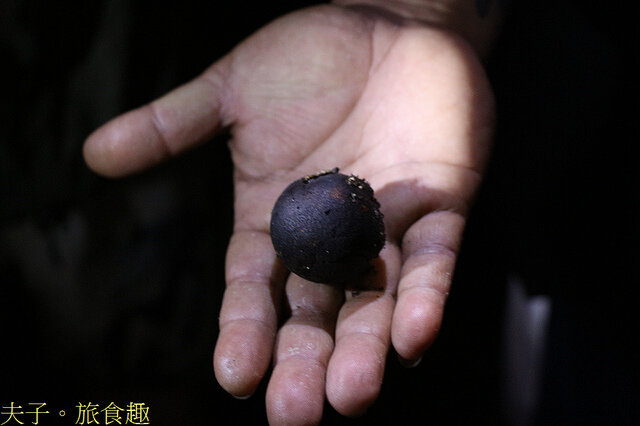 IMG_2399 番龍眼 果.jpg - 蘭嶼永興農場 夜間生態觀察 20220327