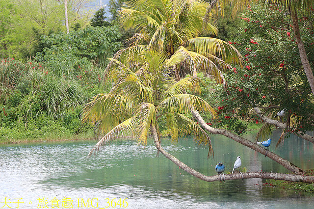 IMG_3646.jpg - 花蓮雲山水植物農場 20220411