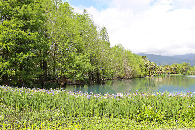 IMG_3666.jpg - 花蓮雲山水植物農場 20220411