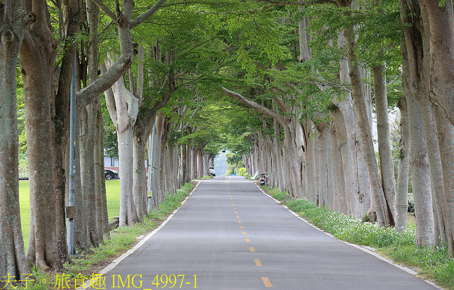 IMG_4997-1.jpg - 台東鹿野龍田阿度的店 20220312