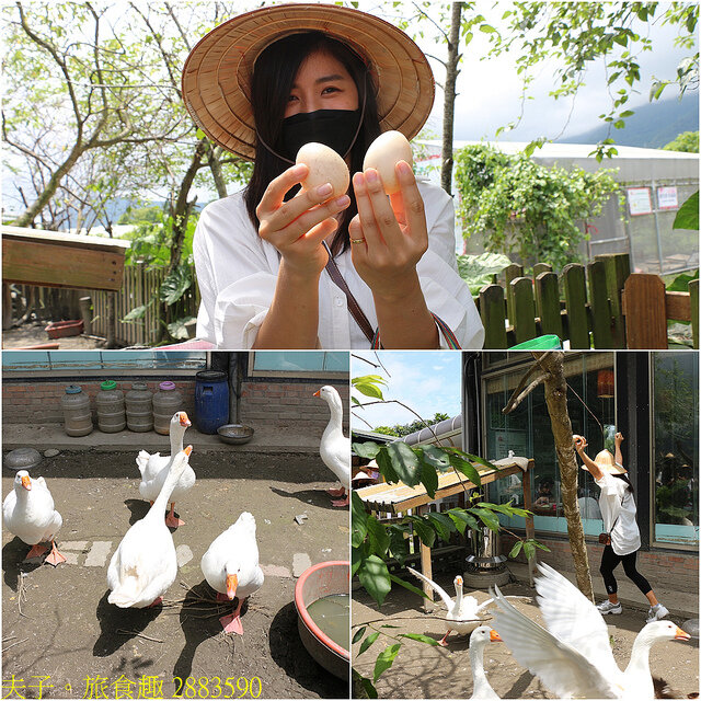 2883590.jpg - 櫻之田野 20220410