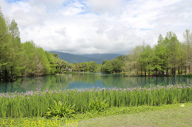 IMG_3665.jpg - 花蓮雲山水植物農場 20220411