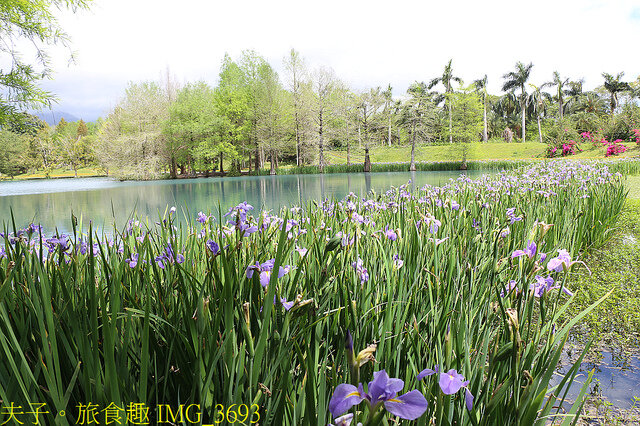 IMG_3693.jpg - 花蓮雲山水植物農場 20220411
