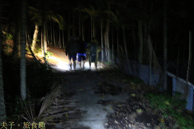 IMG_2397.jpg - 蘭嶼永興農場 夜間生態觀察 20220327