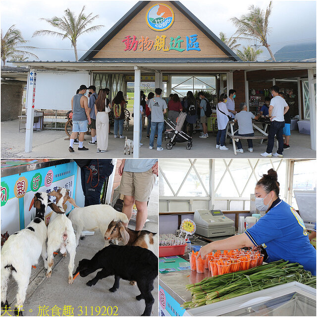 3119202.jpg - 花蓮崇德瑩農場 20220410