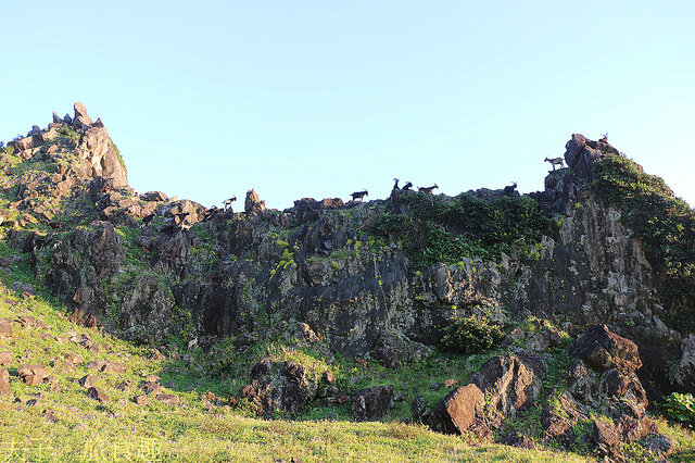 IMG_2305.jpg - 蘭嶼椰油部落虎頭坡 20220326