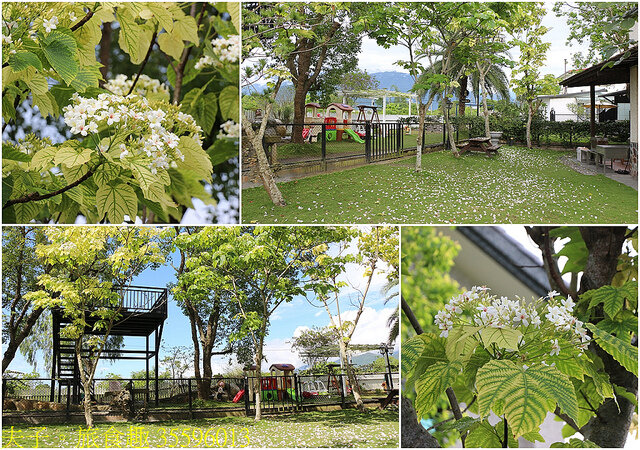 35596013.jpg - 花蓮古拉民宿 20220410