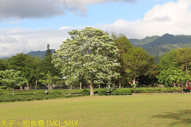 IMG_5018.jpg - 台東鹿野龍田阿度的店 20220312