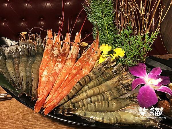 IMG_4851.jpg IMG_4851.jpg