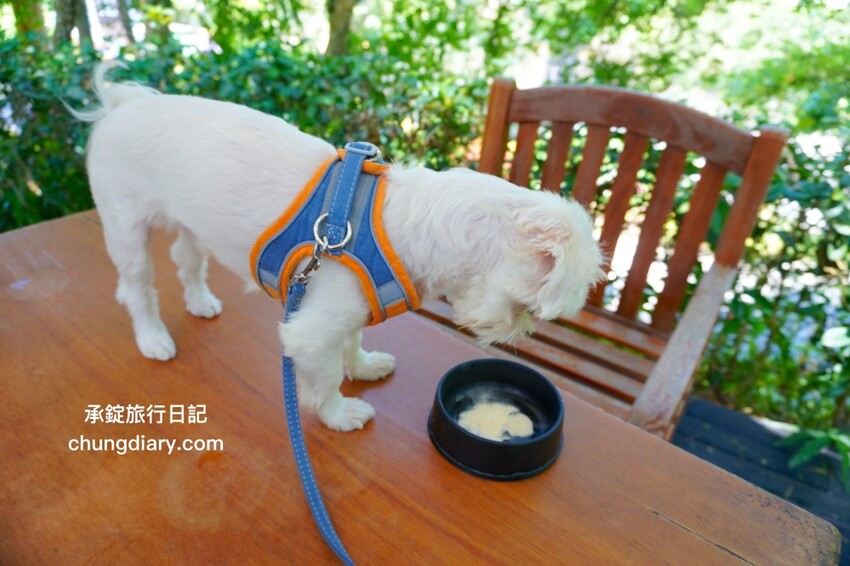 狗狗營養品推薦_汪汪寶⾙