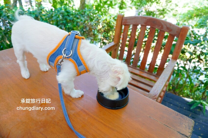 狗狗營養品推薦_汪汪寶⾙