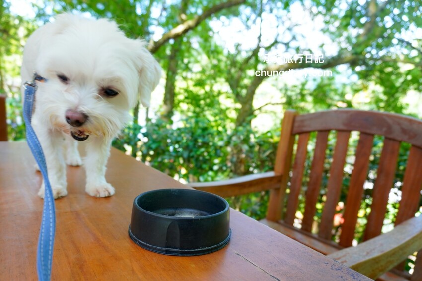 狗狗營養品推薦_汪汪寶⾙