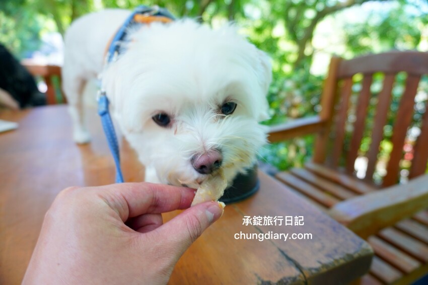 狗狗營養品推薦_汪汪寶⾙