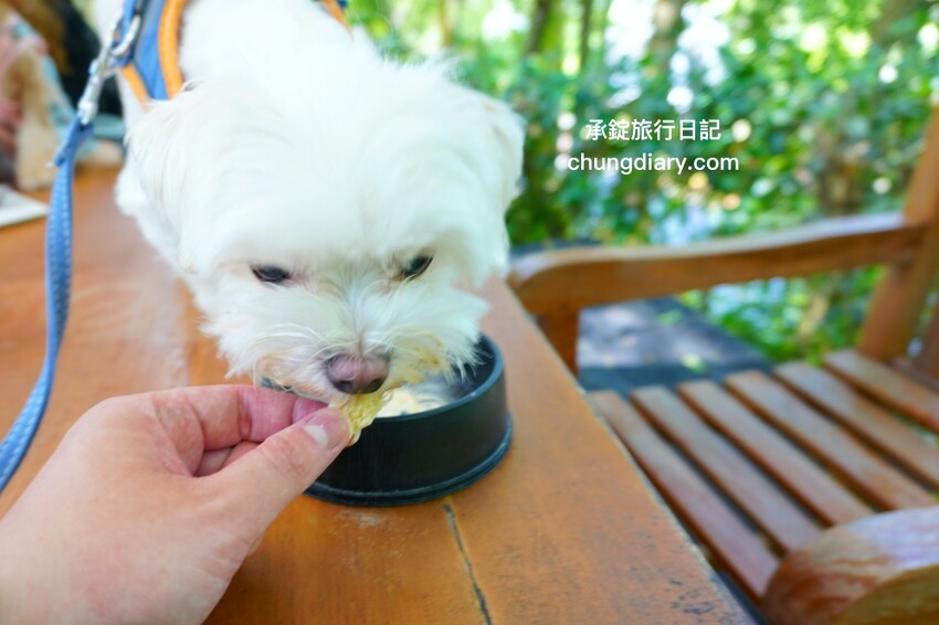 狗狗營養品推薦_汪汪寶⾙