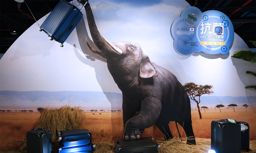 非洲象行李箱