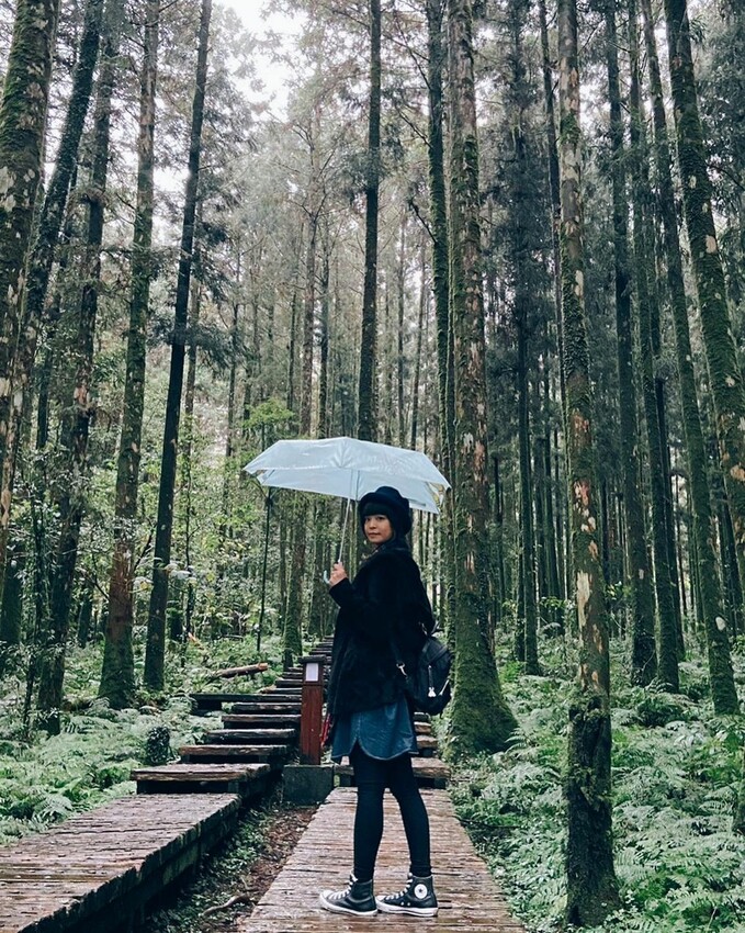 力麗馬告生態園區