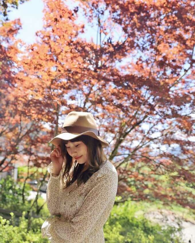 宜蘭太平山楓葉 賞楓 賞楓時間 太平山幾月賞楓 太平山賞楓地圖 賞楓路線